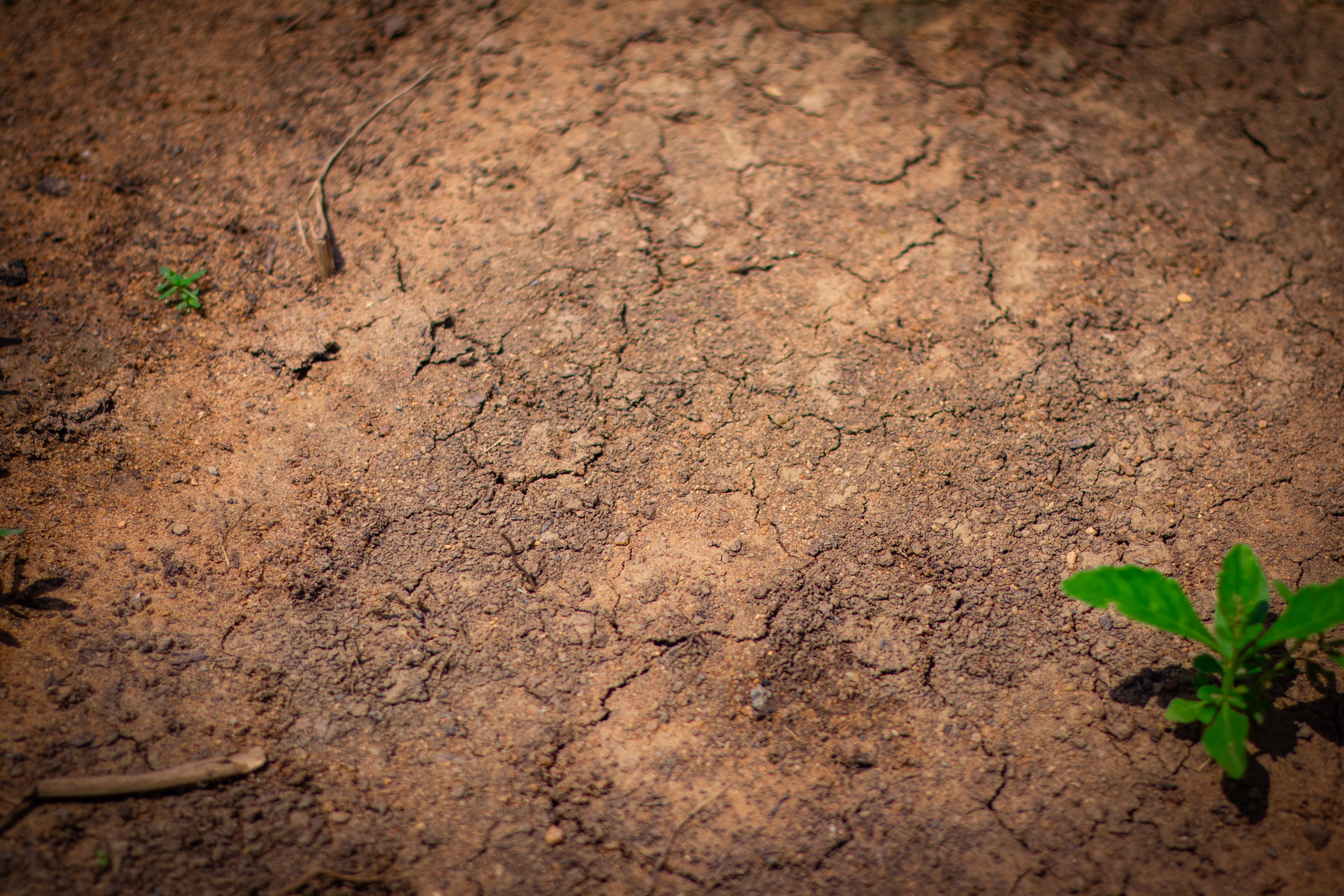 Environmental Impact in Nigeria